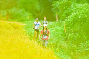 BIB: 
                            <button type="button" onclick="openModal(13456698)" class="btn btn-primary btn-sm float-right btn-popup" data-toggle="modal" data-target=".modal-high-quality">
                        <i class="fas fa-shopping-cart"></i> Add to Cart
                    </button>
                                            <button type="button" onclick="isThisMe(13456698, true)" class="btn btn-success btn-sm float-right btn-popup btn-isme hidden" data-toggle="tooltip" data-placement="bottom" title="นี่คือรูปของคุณใช่ไหม คลิกที่นี่เพื่อเอาเข้าอัลบั้ม">
                        <i class="fas fa-plus"></i> Add to album
                    </button>
                    <button type="button" onclick="isThisMe(13456698, false)" class="btn btn-warning btn-sm float-right btn-popup btn-isnotme hidden">
                        <i class="fas fa-ban"></i> Remove from album
                    </button>